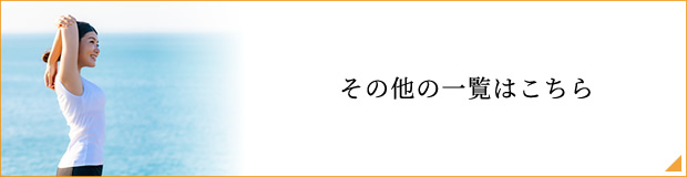 その他の一覧はこちら